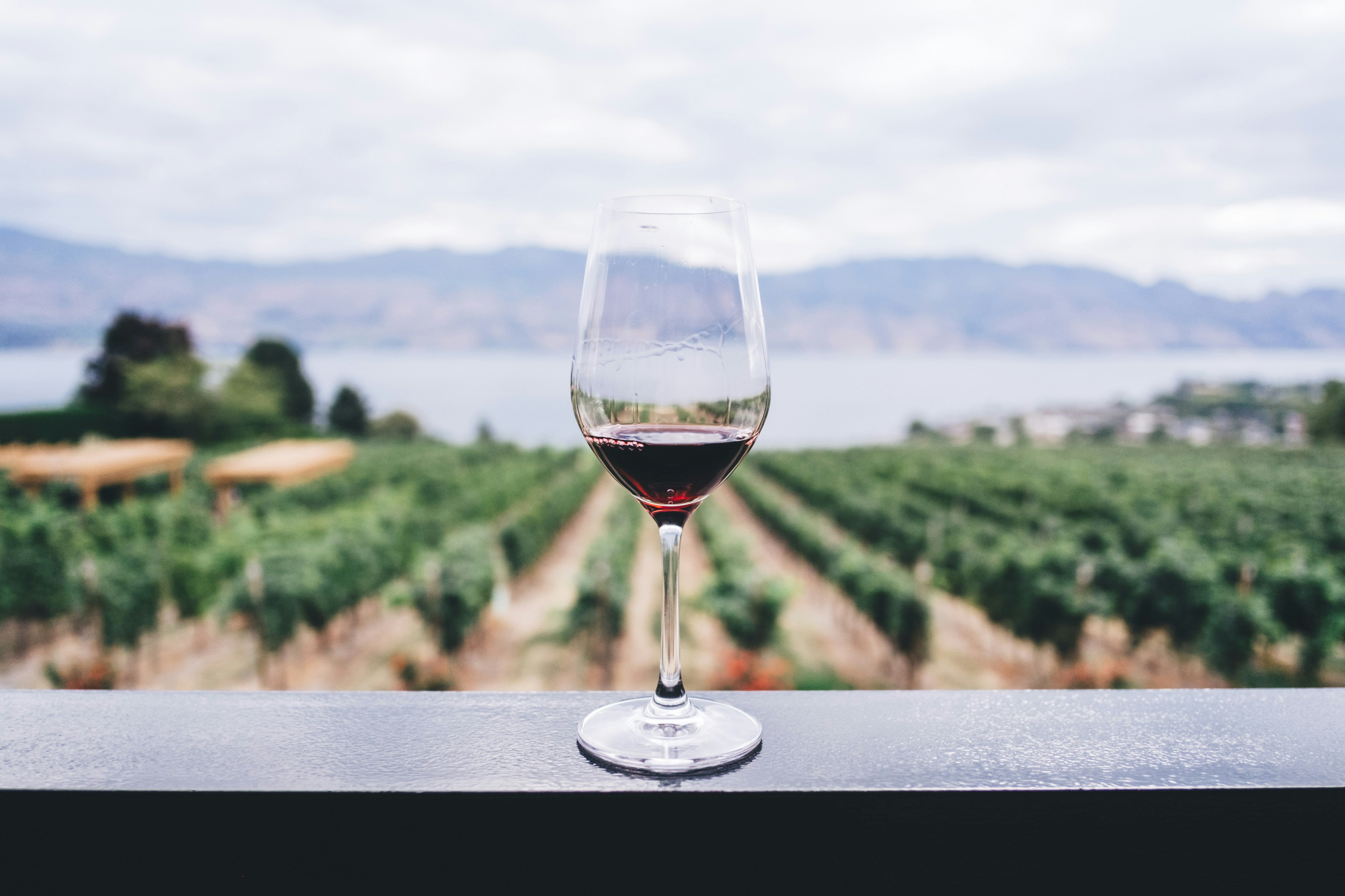 Wein als Geschenk in Salzburg – die besten Ideen für jeden Anlass